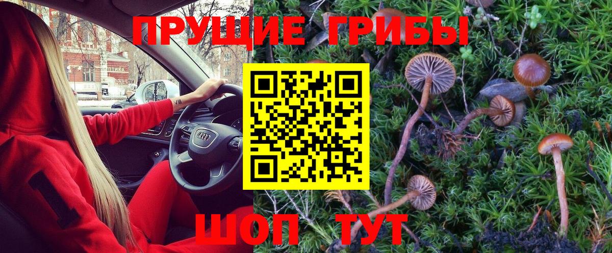 Галлюциногенные грибы Magic Shrooms Когалым