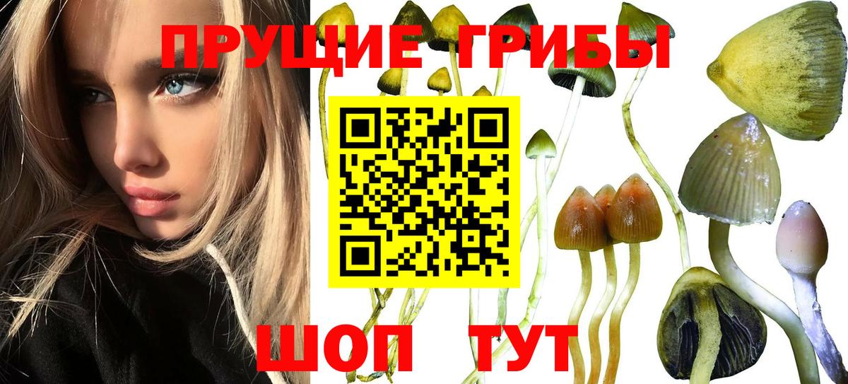 цена наркотик  Вход с VPN  Когалым  Галлюциногенные грибы прущие грибы 